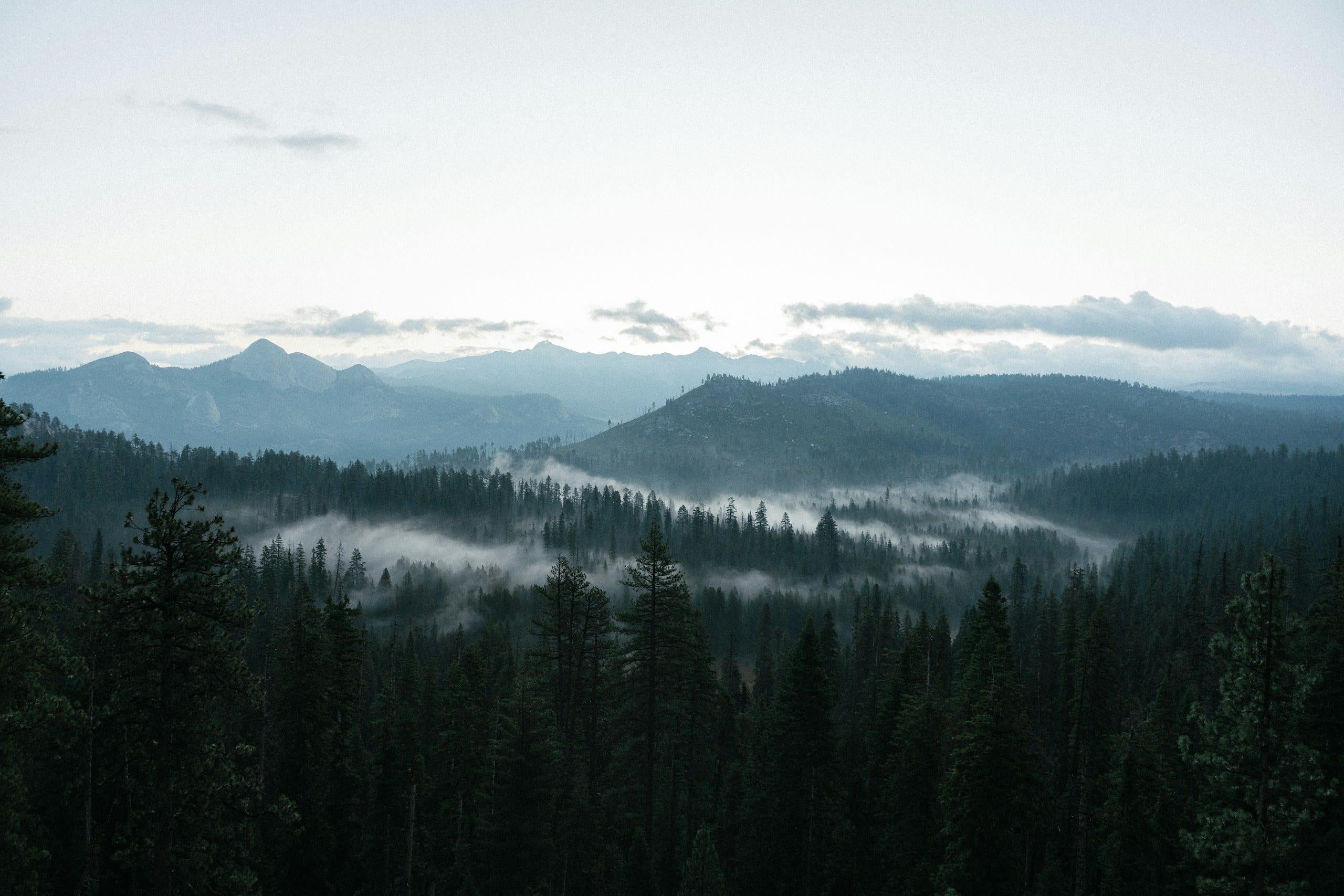 Low cloud drifting through a forested mountain valley at first light